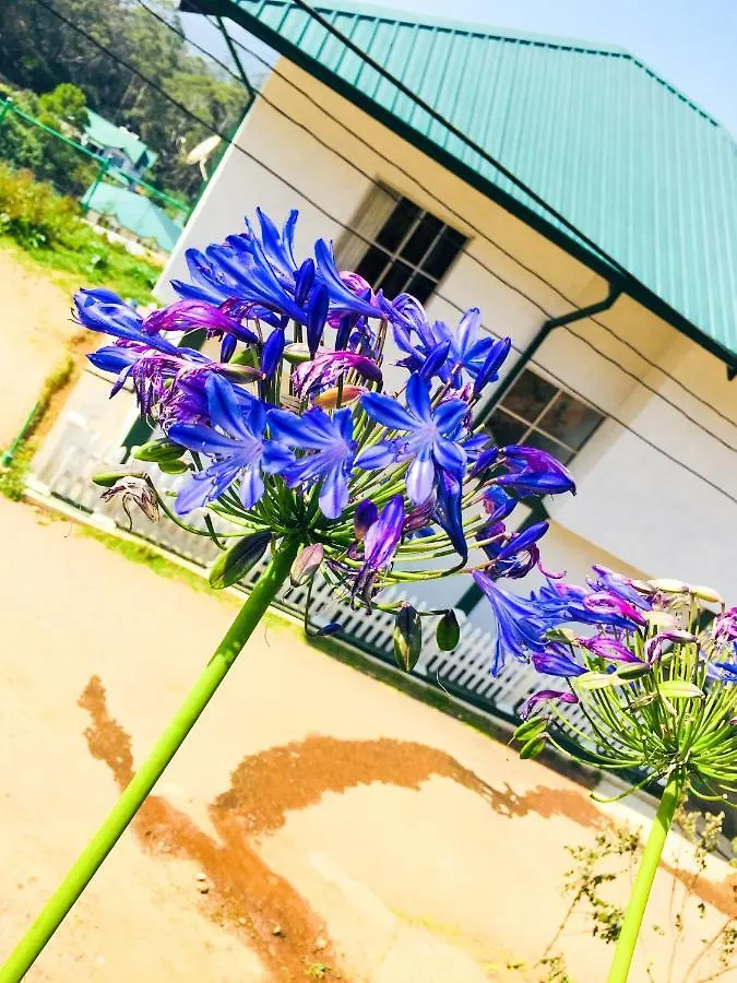 Hydrangea Hotel Nuwara Eliya