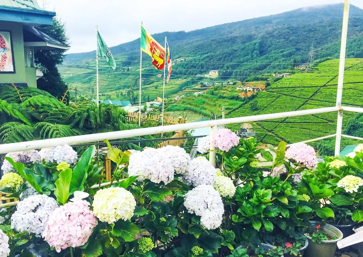 Guest house Hydrangea Hotel Nuwara Eliya